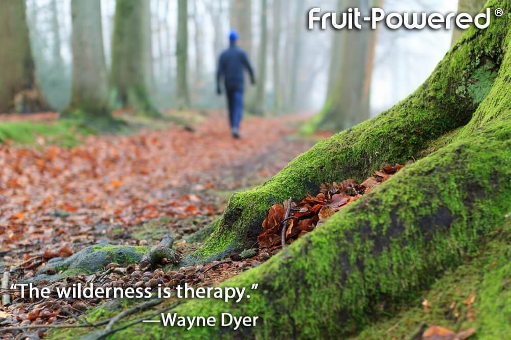 The wilderness is therapy.