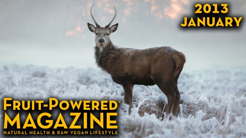 Fruit-Powered Magazine - January 2013 cover