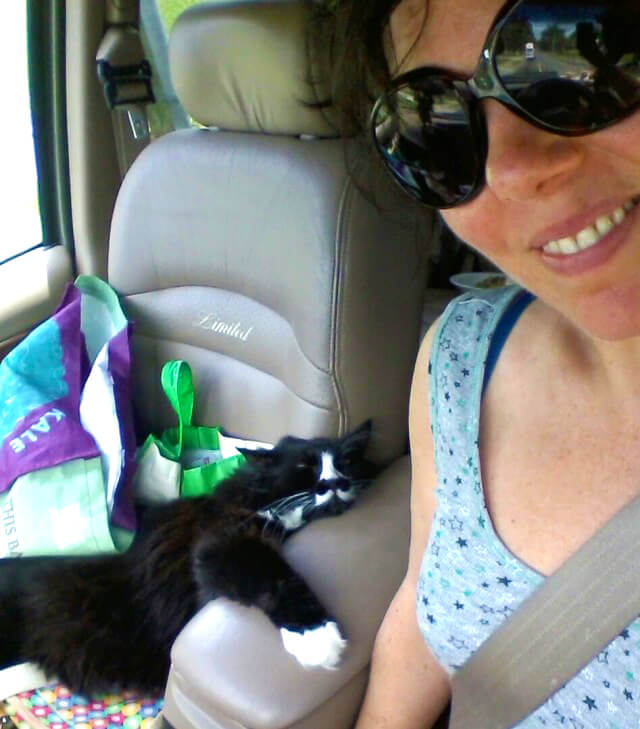 Joy King in her RV with her cat, Harley, in the front seat