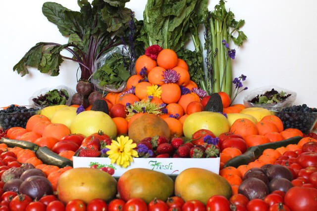 A food haul of Alicia Grant's