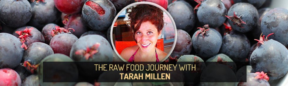 Guest Stories banner for The Raw Food Journey with Brittany Taylor