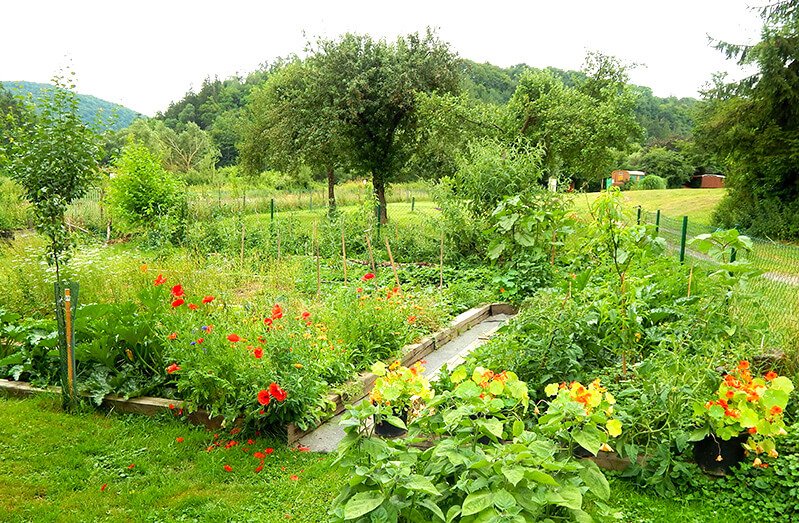 The garden of Petr and Alexandra Cech
