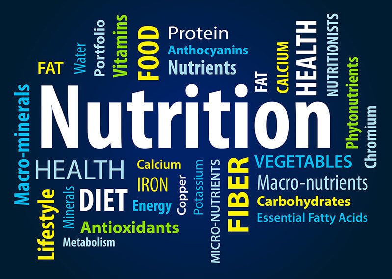 The word nutrition in a word cloud