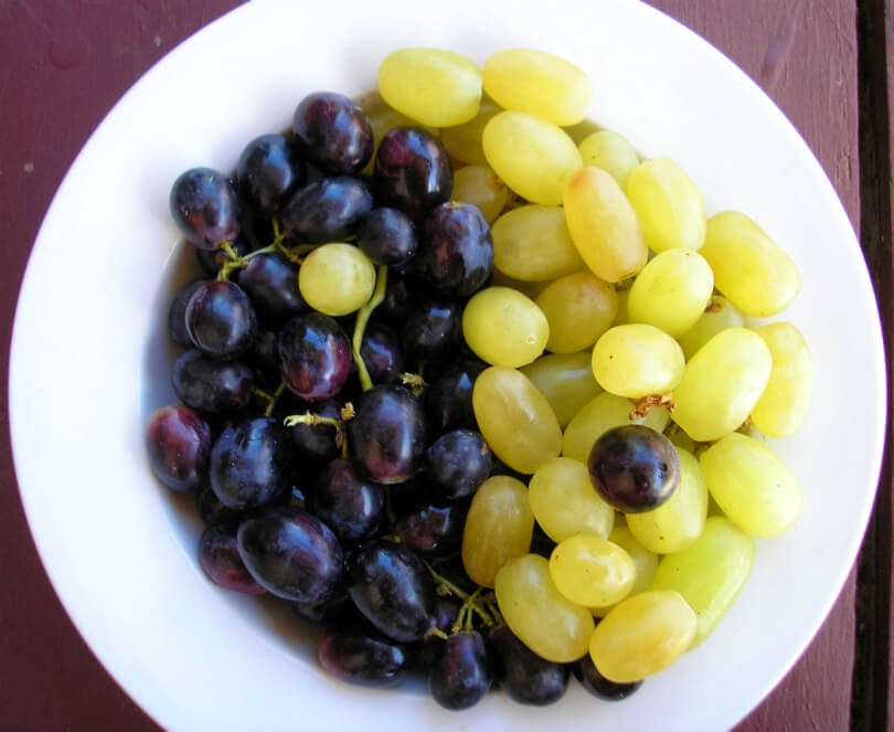 Grapes on a plate - fruit - flow in life - alignment - synchronicity