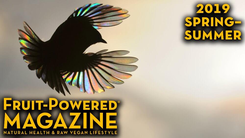 Fruit-Powered Magazine: Spring-Summer 2019