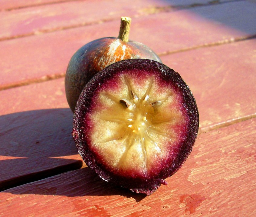 Beauty of fruit - star apple - Fruit-Powered